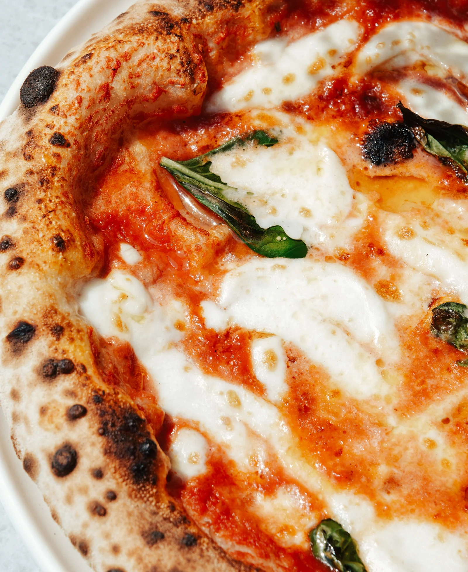 Margherita pizza with melted mozzarella and rich tomato sauce